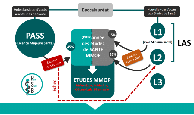 Les différentes filières de santé